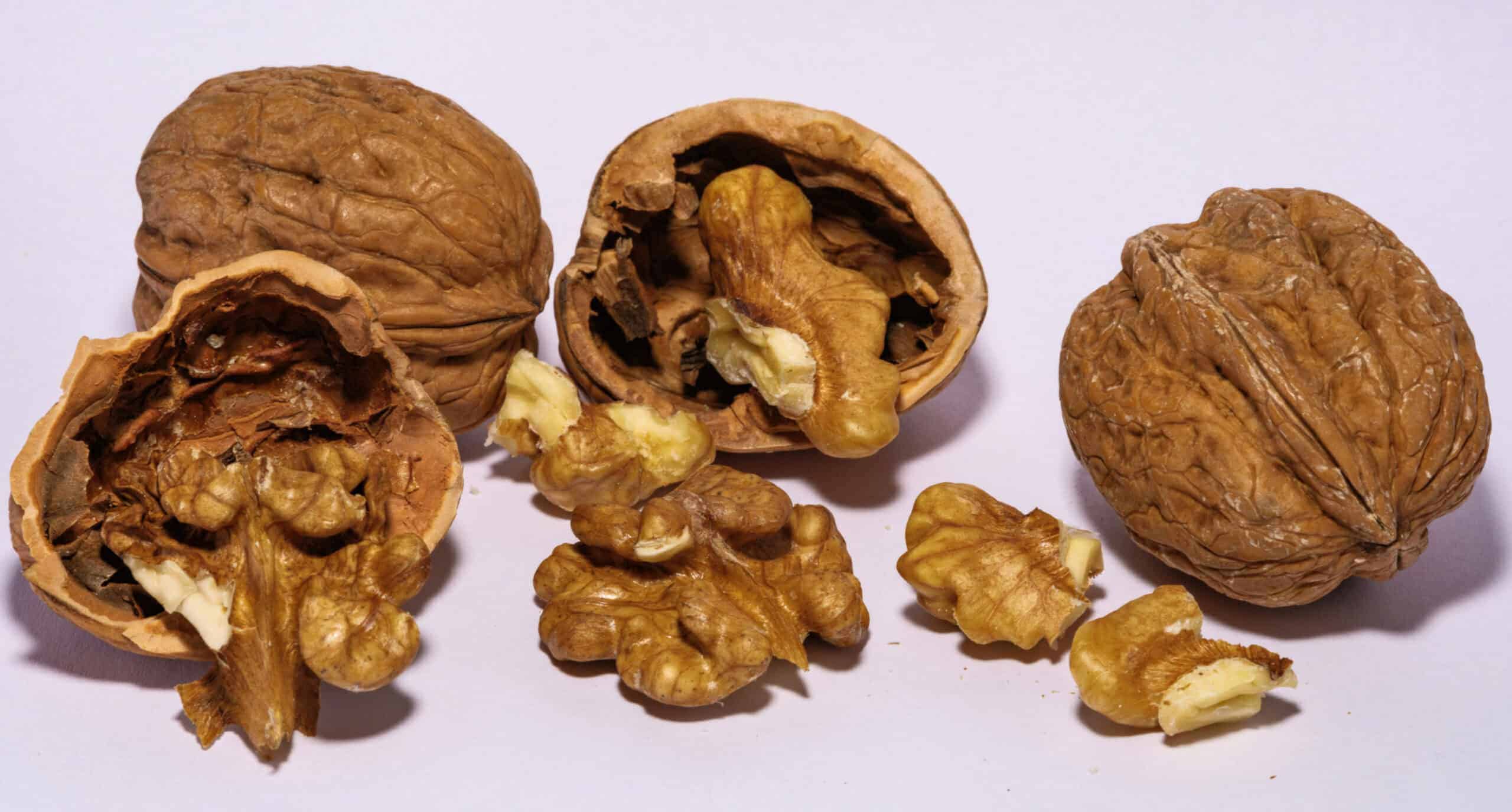 10. Walnuts