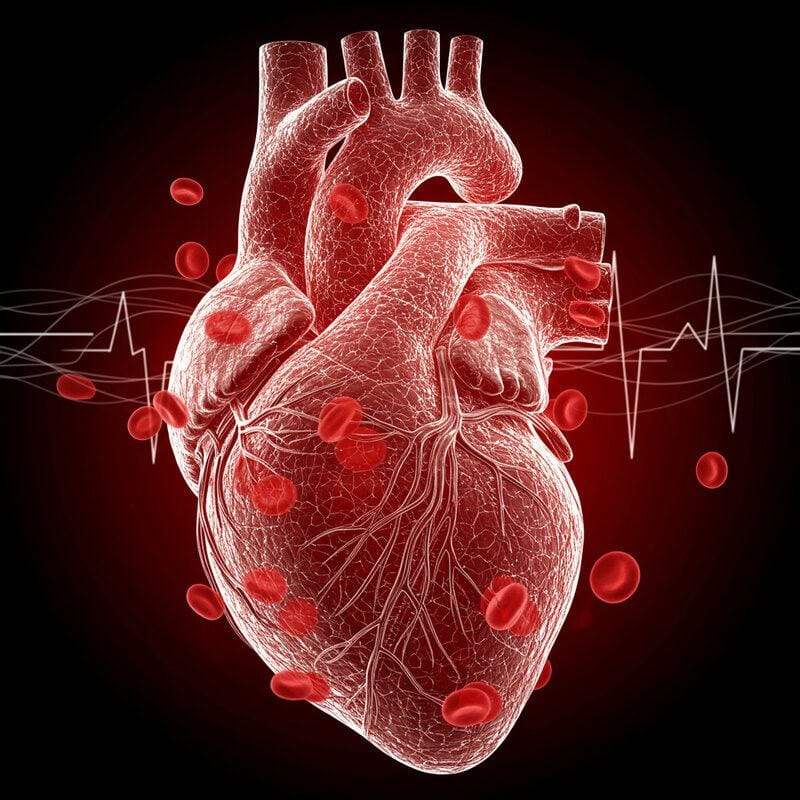 8. Heart Palpitations